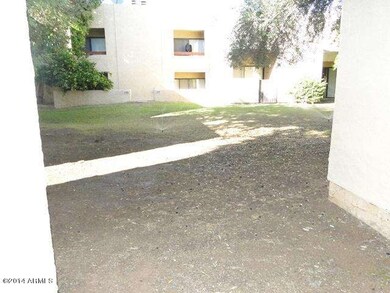 Back patio area