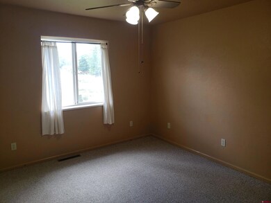 302 S 5th St, Gunnison, CO 81230 - photo 6