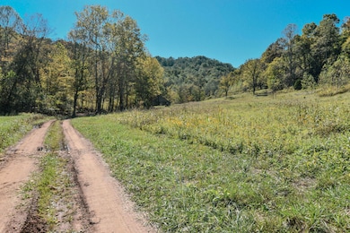 0 E Esculapis Fork Rd unit 25018893, Vanceburg, KY 41179 - photo 2