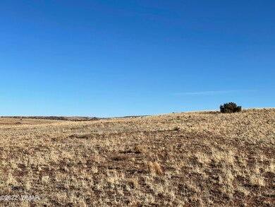Eastern Portion of Ridge on Property