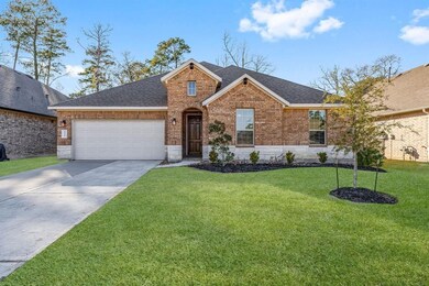 14312 Zion Gate Crossing, Conroe, TX 77384 - photo 2