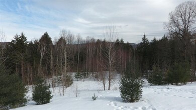 70 Appletree Ln unit 14, Essex, VT 05452 - photo 3