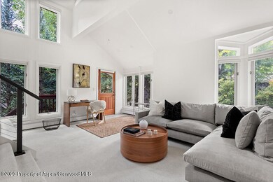 900 E Durant Ave unit E116, Aspen, CO 81611 - photo 4