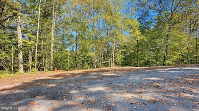 14 Mechunk Terrace, Lake Monticello, VA 22963 - photo 6