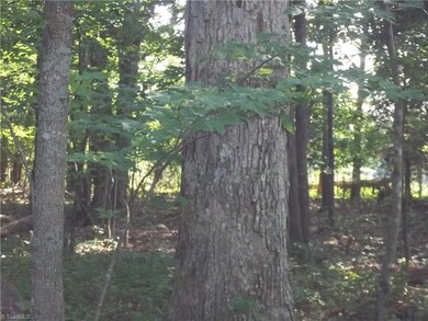 0 Pisgah Covered Bridge Rd unit 1112496, Asheboro, NC 27205 - photo 6