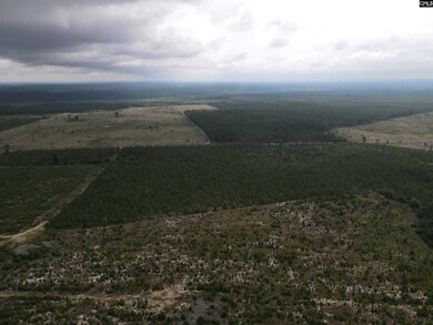 Tr 2 Providence Rd unit 2, Cassatt, SC 29032 - photo 7