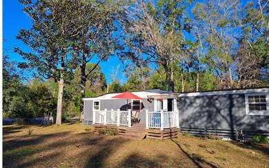 3521 SW Wilson Springs Rd, Fort White, FL 32038 - photo 6