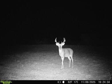 0 County Road 203 unit 25565276, San Jose, TX 78332 - photo 4