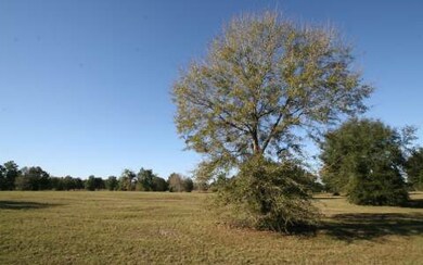 LOT78 Mandiba Dr, Lake City, FL 32024 - photo 2