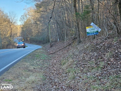 000 Bud Holmes Rd, Pinson, AL 35126 - photo 3