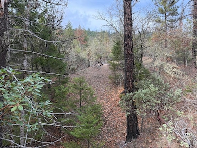 0 E Evans Creek Rd unit 10149531, White City, OR 97503 - photo 5