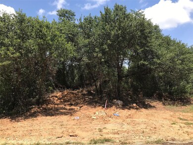 1190 N Lakeview Dr, Palo Pinto, TX 76484 - photo 2