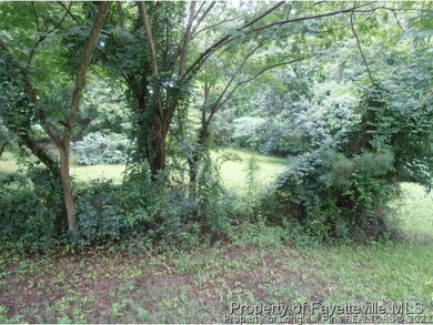 314 Murray Hill, Fayetteville, NC 28303 - photo 6