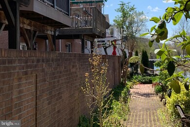 21 Clinton St, Lambertville, NJ 08530 - photo 2