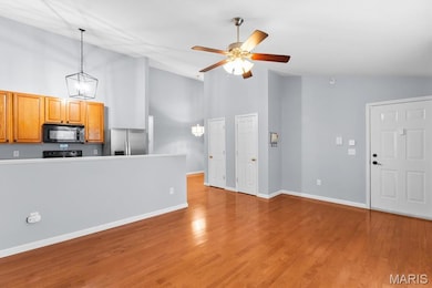 729 Tower Grove Dr unit C, Fairview Heights, IL 62208 - photo 6