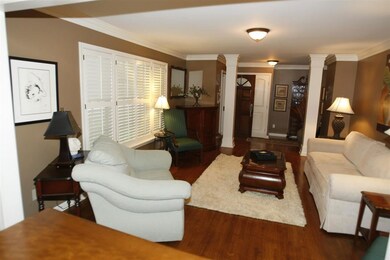 Spacious living room with columns and plantation s