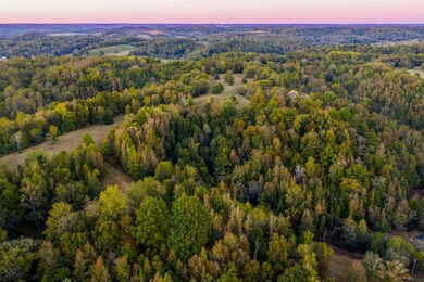 3345 Pigeon Roost Rd, Pulaski, TN 38478 - photo 4