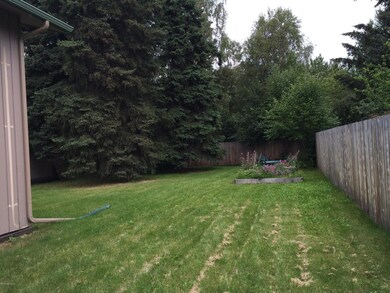 Back yard