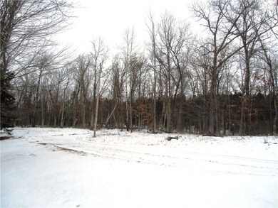 28629 County Road C, Danbury, WI 54830 - photo 5