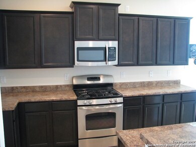 10303 Mill Path, San Antonio, TX 78254 - photo 3