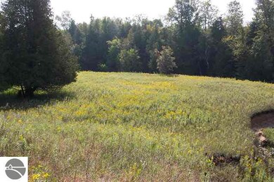 0 Valley Rd, West Branch, MI 48661 - photo 2