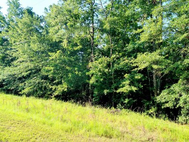 IMG_20250627_183409101_HDR~3