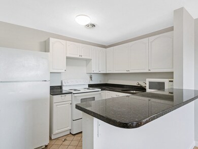 10 Riverside St unit 3-2, Watertown, MA 02472 - photo 3