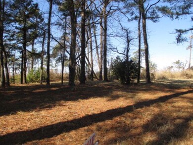 Lot # 2 Wildcat Ln unit 2, Chincoteague, VA 23336 - photo 4