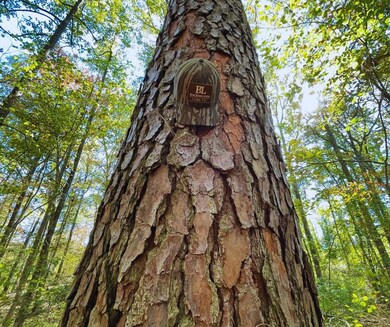 0 Highway 8, Aberdeen, MS 39730 - photo 4