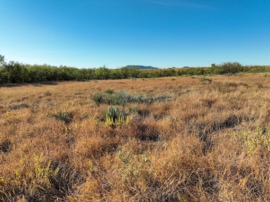 4824 Cr 434, Peacock, TX 79502 - photo 3