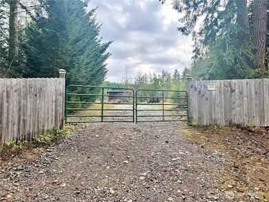 22305 Bald Hill Rd SE, Yelm, WA 98597 - photo 4