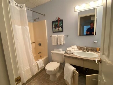 28 Packards Rd unit 538, Waterville Valley, NH 03215 - photo 7