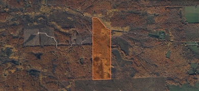 Parcel 3 unit Y RD, Exeland, WI 54835 - photo 3