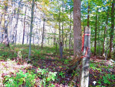 VL Traxler Rd, Dorset, OH 44032 - photo 3