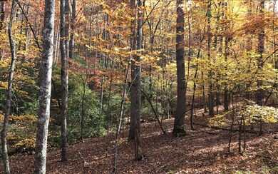 Additional View