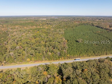 239 Trask Pkwy, Yemassee, SC 29945 - photo 2