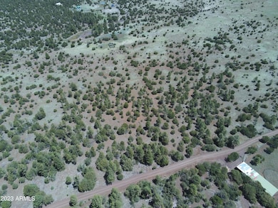 TBD Acr N3263 Parcel 1 -- unit 34, Vernon, AZ 85940 - photo 7