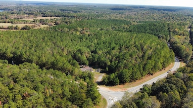 0 Turner Rd, Dadeville, AL 36853 - photo 5