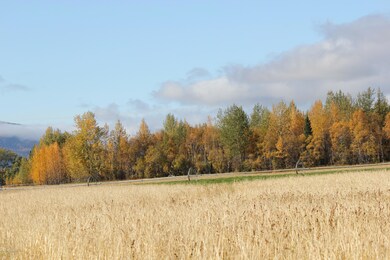 Butte Farm1 (1)