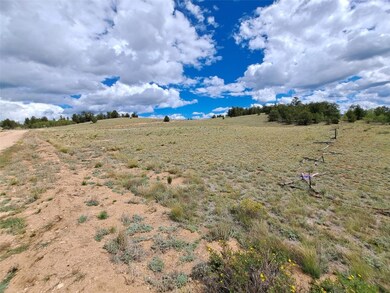 900 Remington Rd, Jefferson, CO 80456 - photo 7