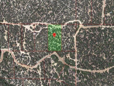 Google Earth Approx Outline