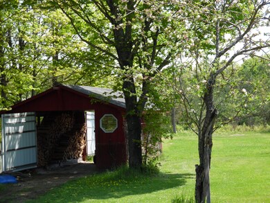 6 Woodshed
