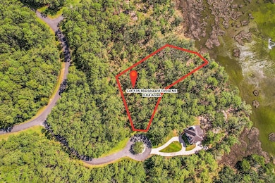 135 Blackbeard Ct, Townsend, GA 31331 - photo 2