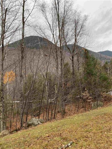 17 Landing Rd, Lincoln, NH 03251 - photo 6