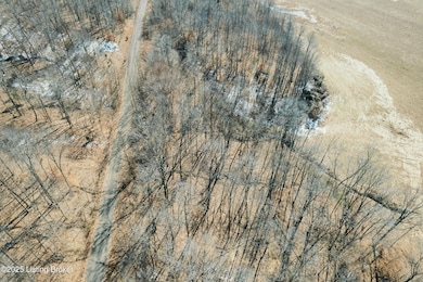 438 Ridenours Way, Falls of Rough, KY 40119 - photo 2