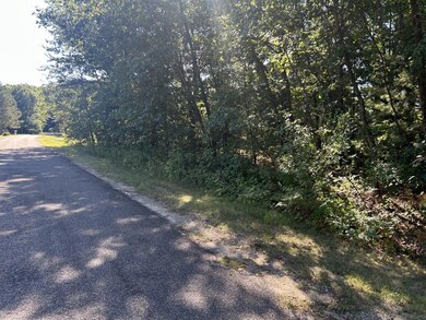 134 Snowflake Way, Houghton Lake, MI 48629 - photo 5