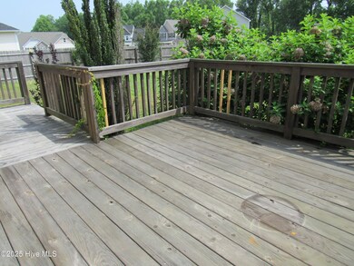 Back Deck