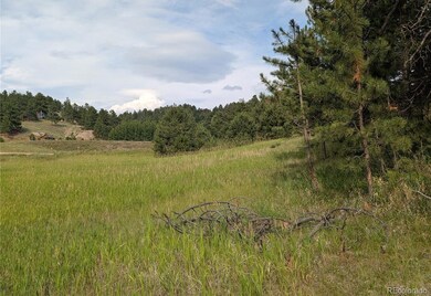 1379 S Mountain Estates Rd, Florissant, CO 80816 - photo 3