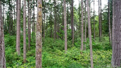 18435 Blue Hills Loop SE, Yelm, WA 98597 - photo 2