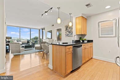 The Odyssey Condominiums unit 309, Arlington, VA 22201 - photo 2